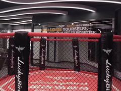 -金吉鸟健身游泳