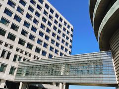 -首都医科大学宣武医院