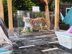 -弘安丽水温泉酒店