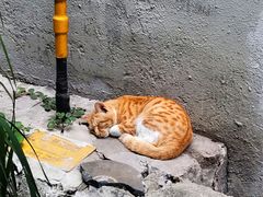 -悟饮门市景店