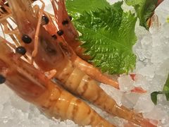 -月龍吟(朝龙汇店)