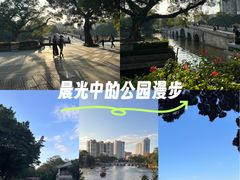 -荔湾湖公园