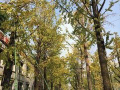 -百林公园-两江幸福广场
