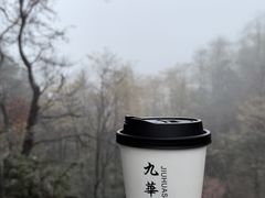 -九华山风景区