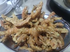 -美兰春记食店·龙舌坡红烧牛肉