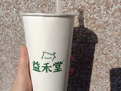 -益禾堂·薄荷柠檬水(龙城店)