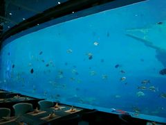 -瑞德姆美人鱼海底演艺主题餐厅(亚龙湾店)