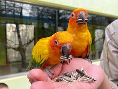 -北京野生动物园