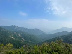 -大岭沟猕猴桃谷风景区