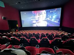 -AMG海上明珠影城(上海环球港RealDCinema店)