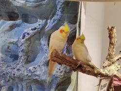 -Zoolung Zoolung动物主题公园(海信广场店)