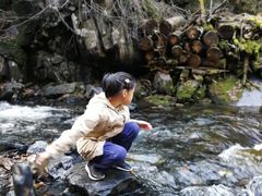 -凤凰山国家森林公园