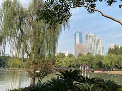 -新虹桥中心花园