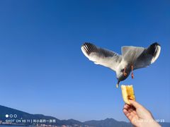 -海埂大坝