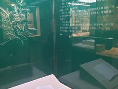 -广东中医药博物馆