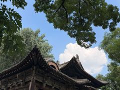 -晋祠公园