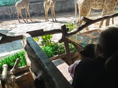 -长鹿旅游休博园