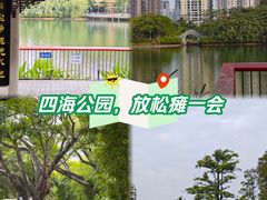 -四海公园(南山区)