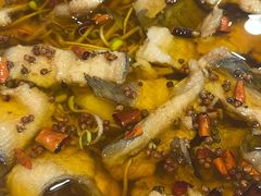 水煮鱼-听涛雅苑百味饺子老家菜馆