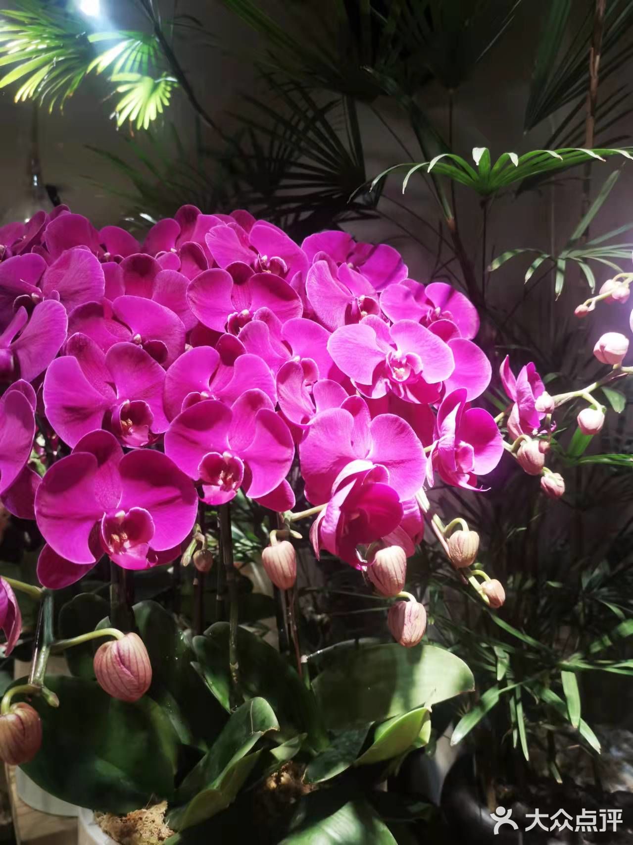 家门口还有这么神仙的花店咖啡馆？爱了爱了！