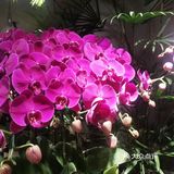 家门口还有这么神仙的花店咖啡馆？爱了爱了！