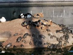 -梵天禅寺