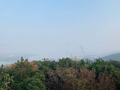 -宝界山林公园