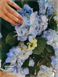 点击看大图 -济南花里美甲美睫