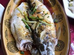 -枫溪人家(枫泾古镇店)