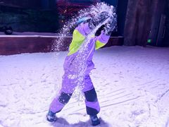 -世界之窗阿尔卑斯冰雪世界