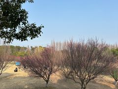 -南湖湿地公园