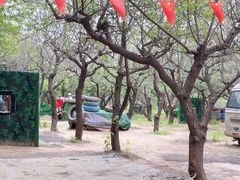-尚庄度假村·庭台树下·户外烧烤·团建CS·轰趴营地(上庄水库店)