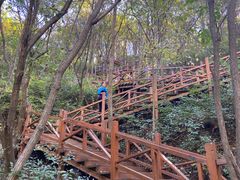 -大岭沟猕猴桃谷风景区