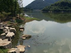-宁波九龙湖开元度假村