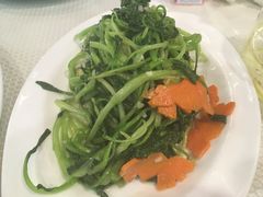 鸡毛菜-渔娘渔家丹东海鲜(东直门店)