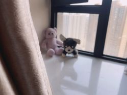 -瘦立方身材管理中心