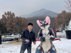 -沂蒙山旅游区云蒙景区(蒙山国家森林公园)