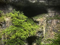 -鹿院坪生态旅游景区