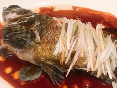 清蒸海石斑-東海海鲜酒家(中信广场店)