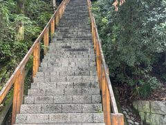 -云碧峰国家森林公园