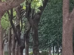 -上海世纪汇广场
