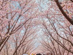 -宁波儿童公园(鄞州区)