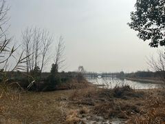 -南湖湿地公园