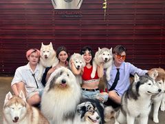 -TrueLove @ Neverland (Husky Cafe)