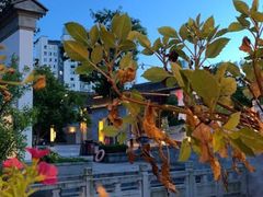 -吴越荣记苏州菜·松鼠桂鱼100%活鱼现做(斜塘老街店)