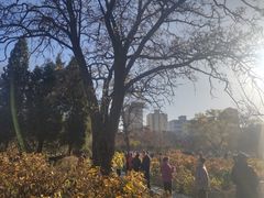 -迎泽公园