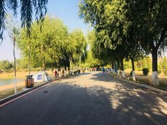 -丁香湖公园