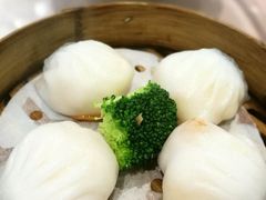 -东方御宴海鲜酒楼(棕泉酒店)