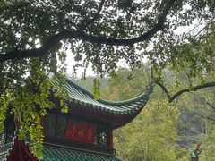 -岳麓山风景名胜区