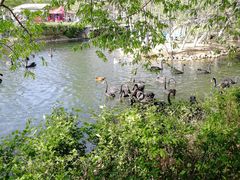 -长白岛森林公园